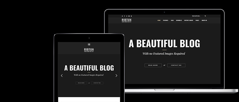 RibTun – WordPress Blog Theme For Writers