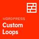 全新的定制代码–css/js/php-wordPress插件