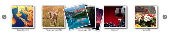 Album+Gallery+%A8C+Ultimate+WordPress+Photo+Gallery+Plugin